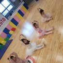 유아 발레 이미지