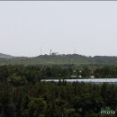 표선면-3 이미지