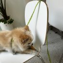 민주샵 | 아기자기한 소품샵 탐방 후기/수유/4.19민주묘지역/일상