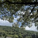 거락마을회관옆 이미지