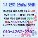세종과외멘토