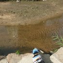 퍼피 앤 퍼피(PUPPY & PUPPY) 이미지