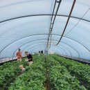 종혁농장 이미지