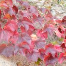 우장초등학교 이미지