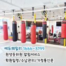 다산 MMA STORY 이미지