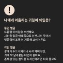 스너그제이 이미지