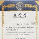 용인대미르태권도 이미지