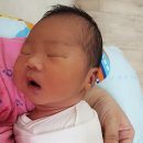 조은산후조리원 이미지