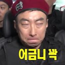 멍멍닷컴 이미지