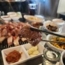 제주도로담 이미지