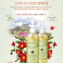산다화 이미지