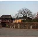 장군해물손칼국수 이미지