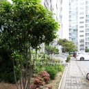 e김해공인중개사사무소 이미지