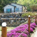 물안개펜션 이미지