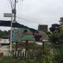 씨송펜션 | 안면도수영장펜션 씨송펜션 에서 즐긴 여름휴가