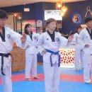 스타일 태권도장 이미지