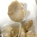 황제농원 | 청라 코스트코 황제버섯 내돈내산 후기: 9,900원으로 완성하는 초간단 고영양 두돌 아기 반찬