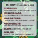 자연마주