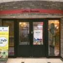 커피블러썸(coffee blossom) 이미지