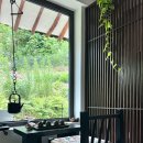 소소유유 이미지