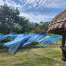 한국천연염색협회(사) 이미지