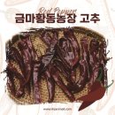 금마농장 이미지