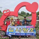 제799차, 관광 겸 걷기 여행을 한 국제조각공원-동의보감촌-대명사의 꽃잔디 길 이미지