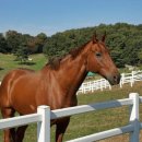 종일목장 이미지