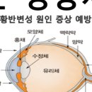 대화건강약국 이미지