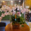 질러존노래연습장 이미지