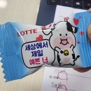 엘레나잉글리쉬