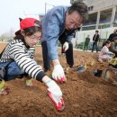 부자농장3 이미지