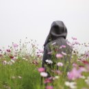 아구동생 이미지