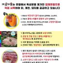 로끼오 이미지