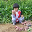 정명농장 이미지