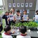 안용중학교 이미지