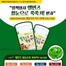 베이비독 이미지