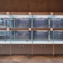 민들레애견 이미지