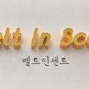 멜트인센트