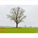 연두목장 이미지