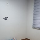 담양메타펜션