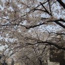 덕진구청 이미지