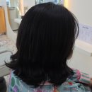 카카몽 애견미용실 | 오산대역미용실 아드리다헤어 모발관리 카나토클리닉