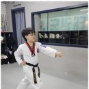 용인대 승리태권도장 이미지