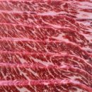 리버벨리 이미지