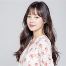 수와르헤어