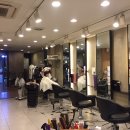 림스파마 이미지