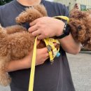 24시 공감365동물의료센터 이미지