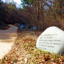 메밀꽃 필 무렵 코스 이미지