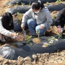 칠성중학교 이미지